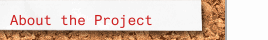 About the Project